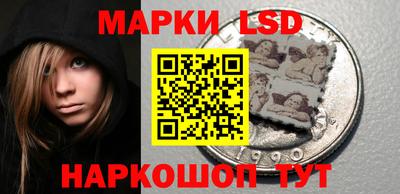 PSILOCYBIN Краснодар