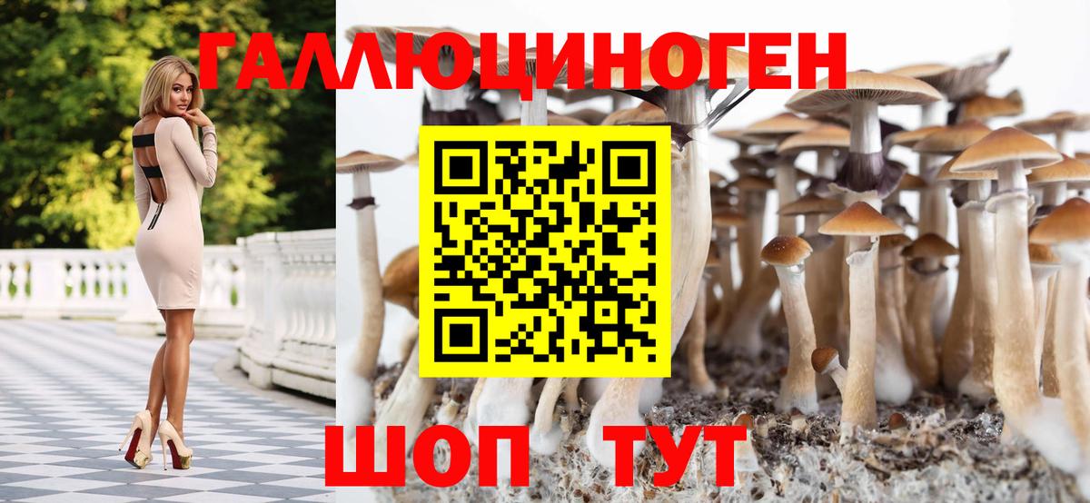 Псилоцибиновые грибы мухоморы Карачаевск