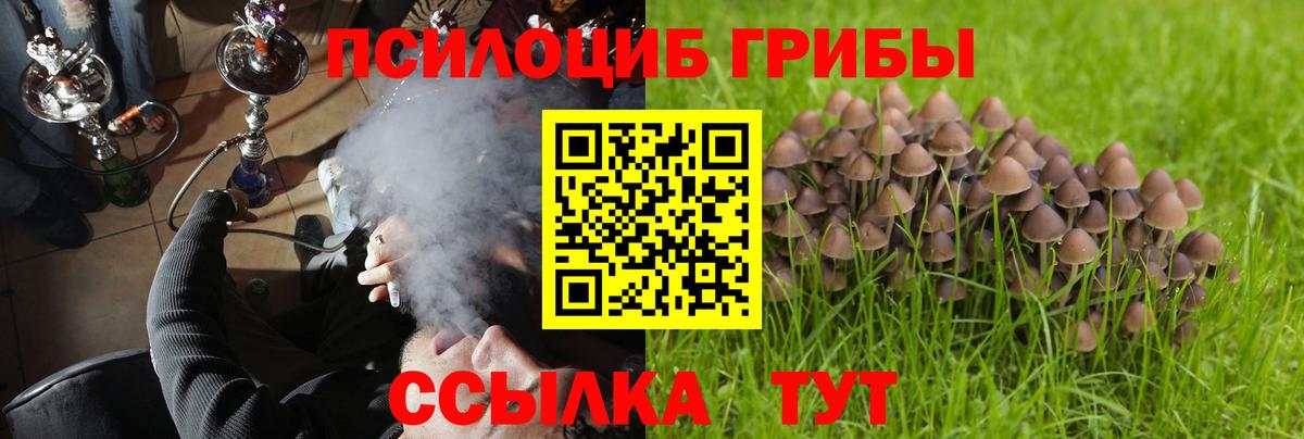 Галлюциногенные грибы Psilocybine cubensis  Вход с VPN  Карачаевск  Галлюциногенные грибы GOLDEN TEACHER 
